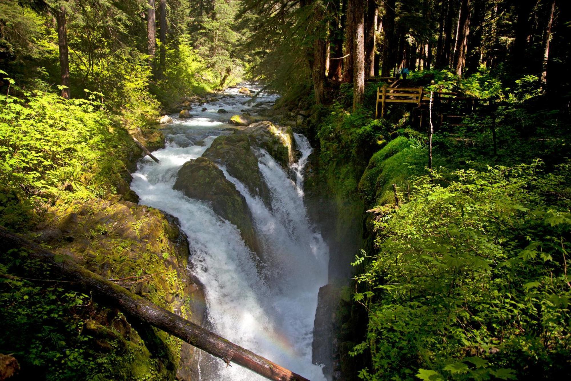 Sol Duc Hot Springs Resort Ovington Bagian luar foto